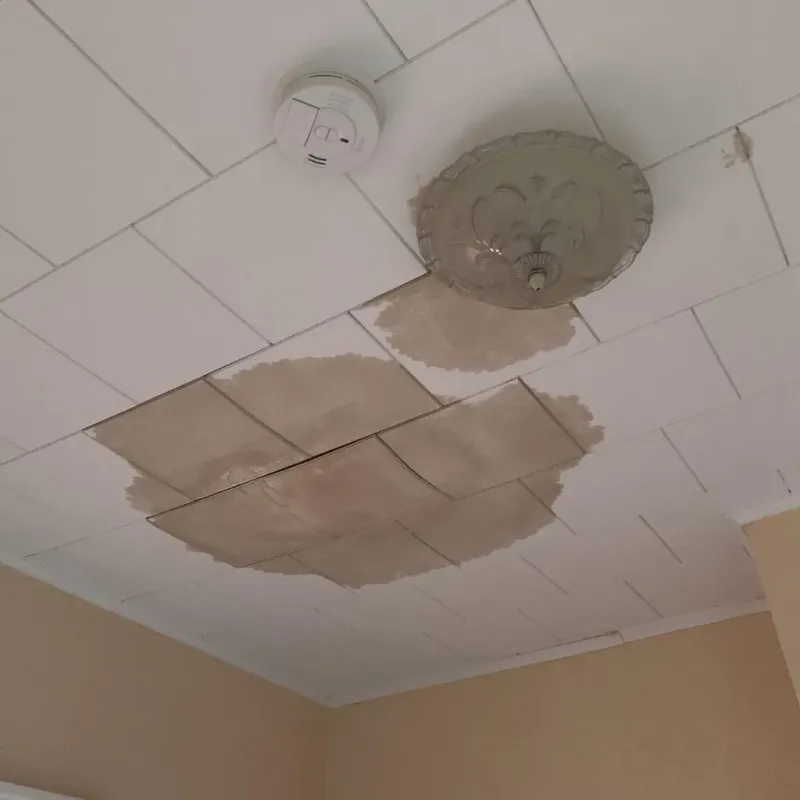 Ceiling Water Damage Repair in Columbia, MO
